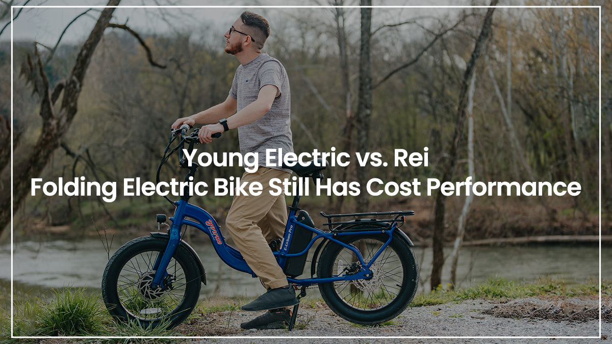 Young Electric vs. Rei Folding Electric Bike Still Has Cost Performan