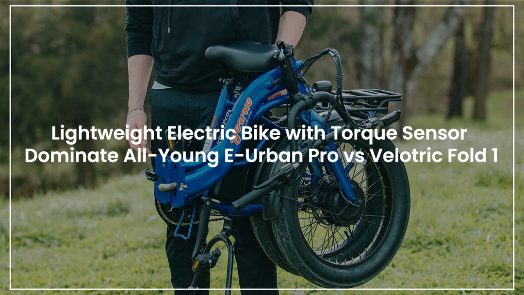 Lightweight Electric Bike with Torque Sensor Dominate All-Young Urban pro vs Velotric Fold 1