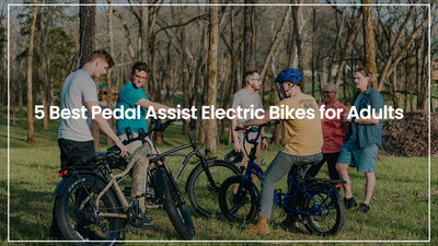 5 Best Pedal Assist Electric Bikes for Adults