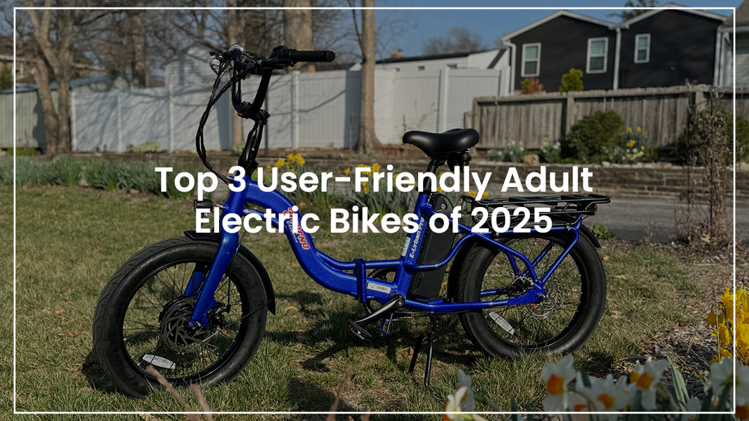 2025 Top 3 User-Friendly Adult Electric Bikes