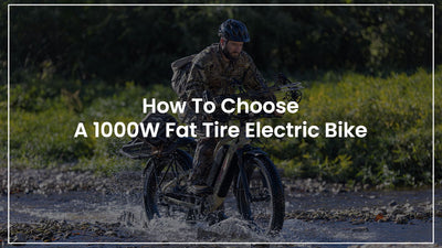 How To Choose A 1000W Fat Tire Electric Bike
