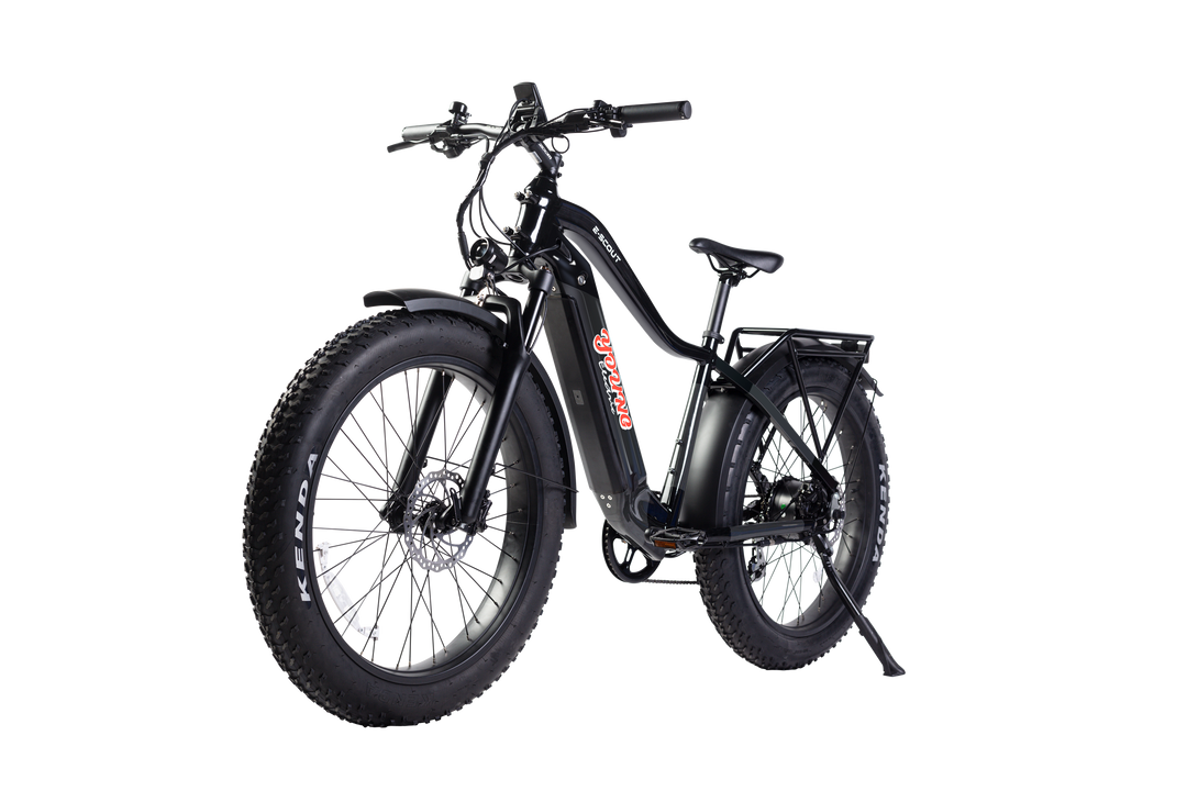 E-SCOUT