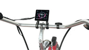YOUNG ELECTRIC E-Classic Cruiser 26'' Full Color HMI Display