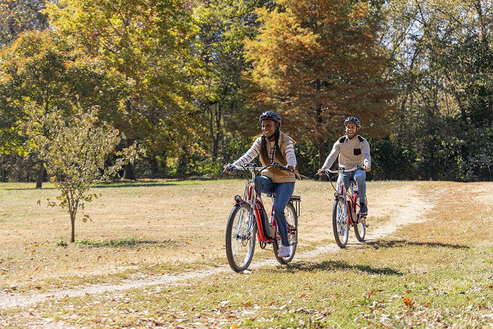 YOUNG ELECTRIC E-Classic Cruiser 26‘’ Retro eBike main pics