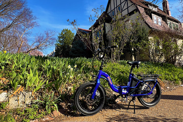 Young Electric E-Urban 500W Lightweight Folding eBike | 20'' All-terrain Fat Tire With 480Wh LG Battery | Internal Gear Hub