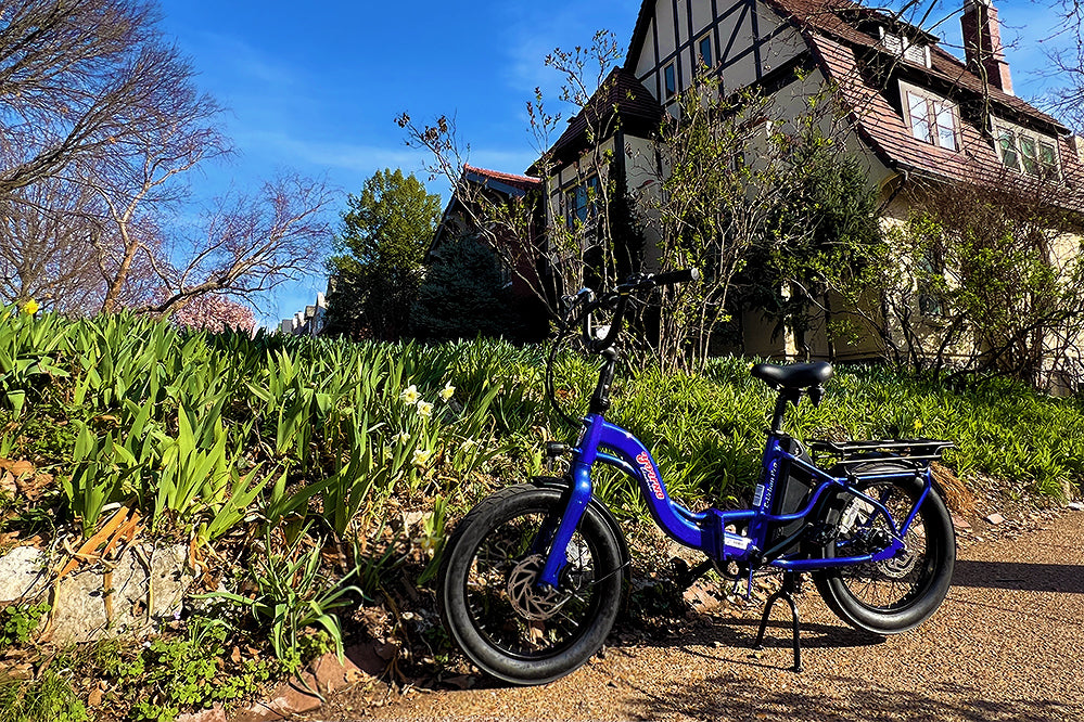 Ebike shops with internal gear hub