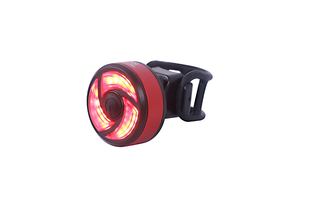 Young Electric LED Tail Light