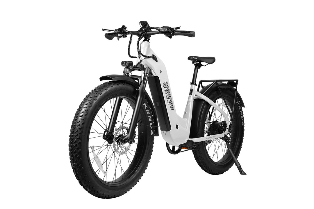 Young Electric E-Scout Pro Step-Through Commuter Ebike | Up to 80 Miles, 28 MPH | 960Wh LG Battery, 26’’ All-terrain eBike