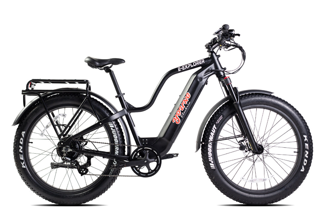 1000 watt fat tire electric bike best sale